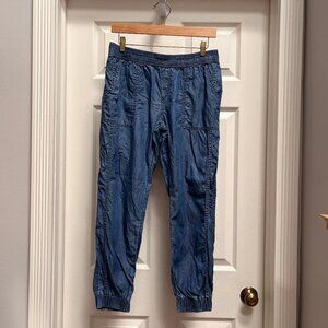PRANA Jogger pants, Tencel fabric, Size Small, Blue color